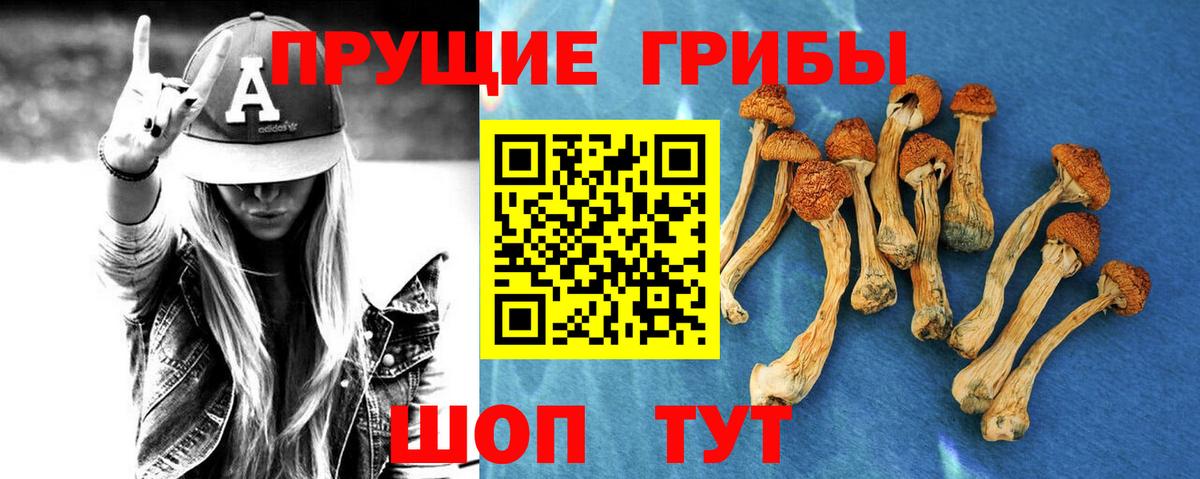 Кимры  Галлюциногенные грибы GOLDEN TEACHER  Вход с VPN 